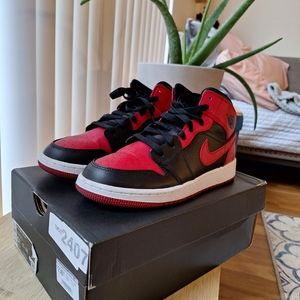 Retro Breds Air Jordan